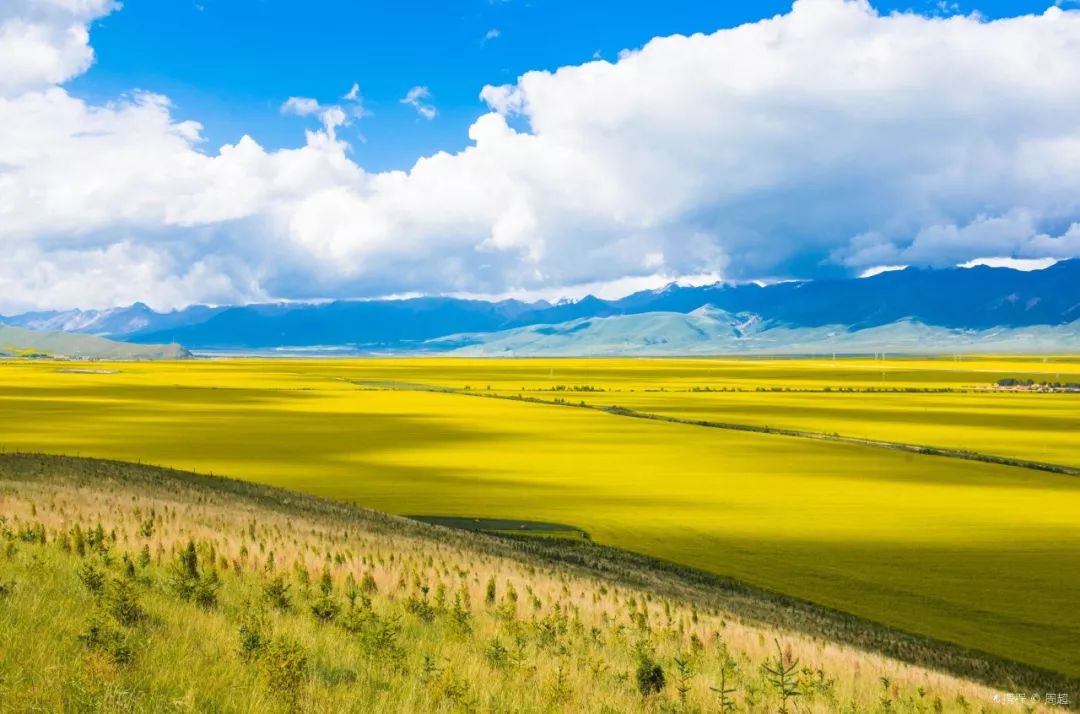 青海，嘉宾与观众共襄盛举